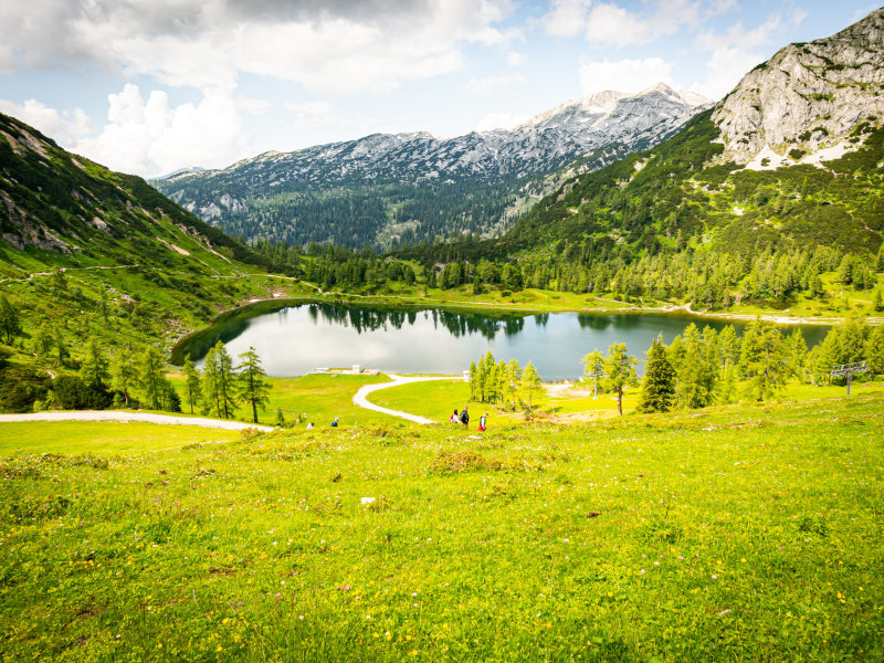 PLEF - Entra in vigore la Nature Restoration Law 
