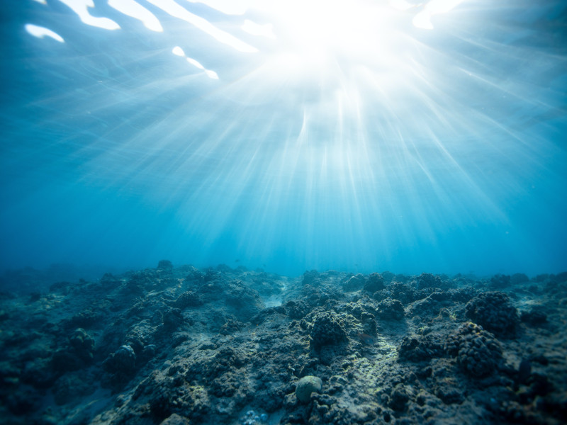 PLEF - Oceani, raggiunto accordo Onu per proteggere “l’alto mare”